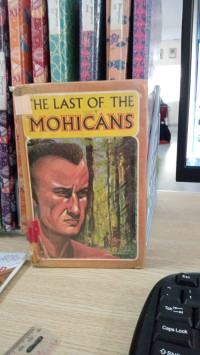 Image of The last of the Mohicans