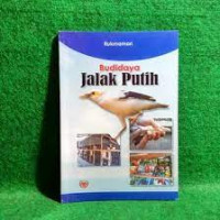 Image of budidaya jalak putih