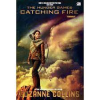 Image of the hunger games : catching fire