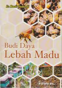 Image of budi daya lebah madu