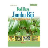 Image of budi daya jambu biji buah multimanfaat
