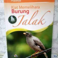 Image of kiat memelihara burung jalak